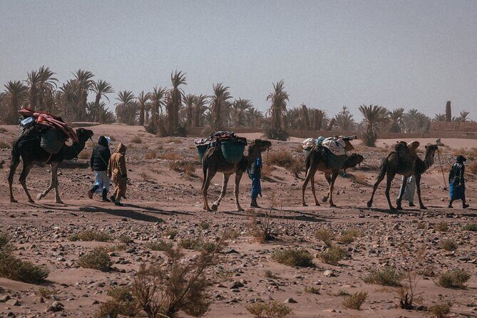 Desert Hike for 6 Days and 5 Nights - Practical Considerations and Tips