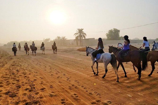 Desert Horse Riding Experience in Dubai - Key Points