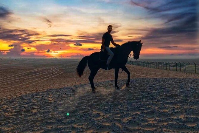 Desert Horse Riding Experience in Dubai - A Closer Look at the Desert Horse Riding Experience