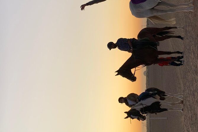 Desert Horse Riding Experience in Dubai - Practical Details and Tips