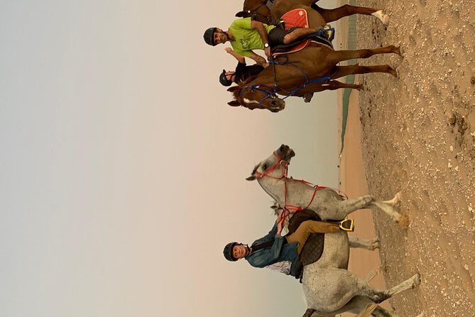 Desert Horse Riding Experience in Dubai - Who Should Consider This Experience?