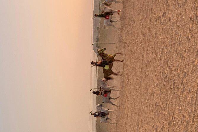 Desert Horse Riding Experience in Dubai - Final Thoughts: Is It Worth It?