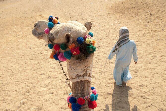 Desert Journey, Experience Camel Ride in desert - Sharm El Sheikh - What to Consider Before Booking