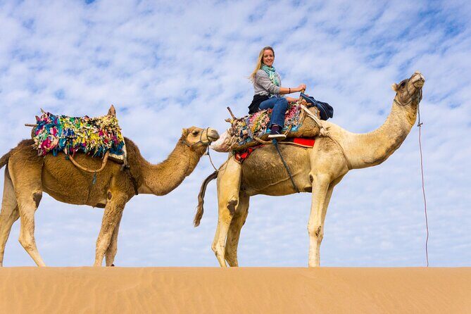 Desert Journey, Experience Camel Ride in desert - Sharm El Sheikh - The Sum Up: Who Will Love This Camel Ride?