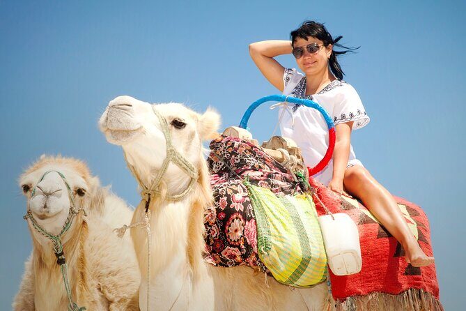 Desert Journey, Experience Camel Ride in desert - Sharm El Sheikh - FAQs