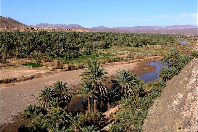 Desert Odyssey: A 2-Day Journey from Marrakech to Zagora - Introduction: What to Expect from the Desert Odyssey Tour