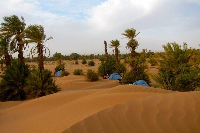 Desert Odyssey: A 2-Day Journey from Marrakech to Zagora - What Travelers Say: Authentic Feedback