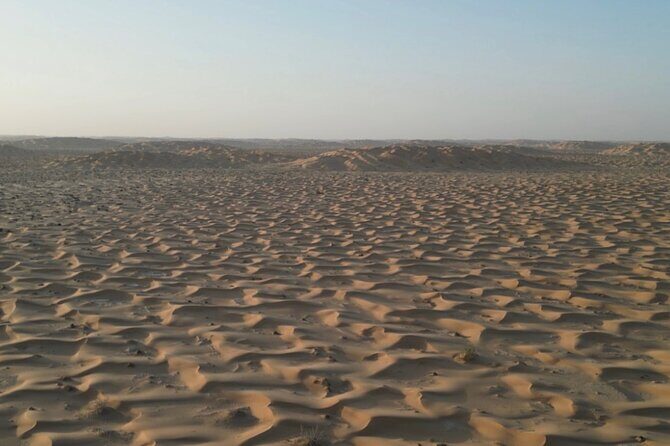 desert overnight tour in salalah - Exploring the Itinerary in Detail