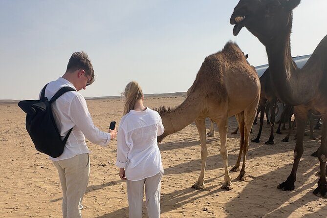 desert overnight tour in salalah - The Sum Up: Who Should Consider This Tour?