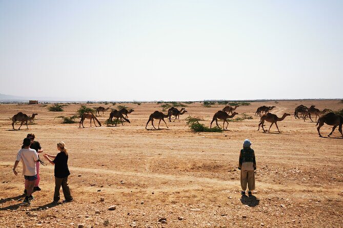 Desert Overnight Tour VisitSalalah - FAQ