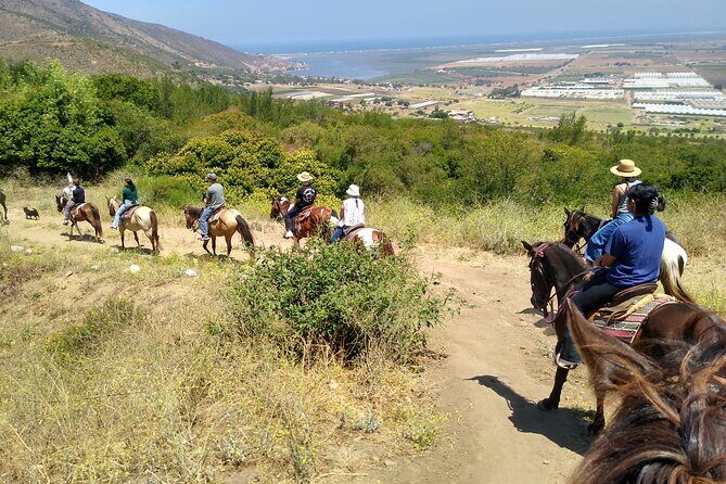 Desert Peaks on Horseback, Exploring Mountain Trails of Ensenada - Practical Details and Value