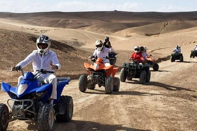 Desert quad biking and camel riding plus diner under stars - Who Will Love This Tour?