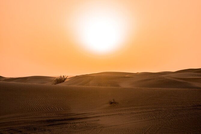Desert Quad Biking Tour and Sand Boarding with Dinner in Dubai - Who Might Want to Think Twice