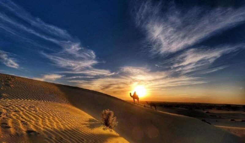 Desert Rose Jaisalmer: Overnight Stay Middle of Thar Desert - Introduction: What to Expect from the Thar Desert Overnight Safari