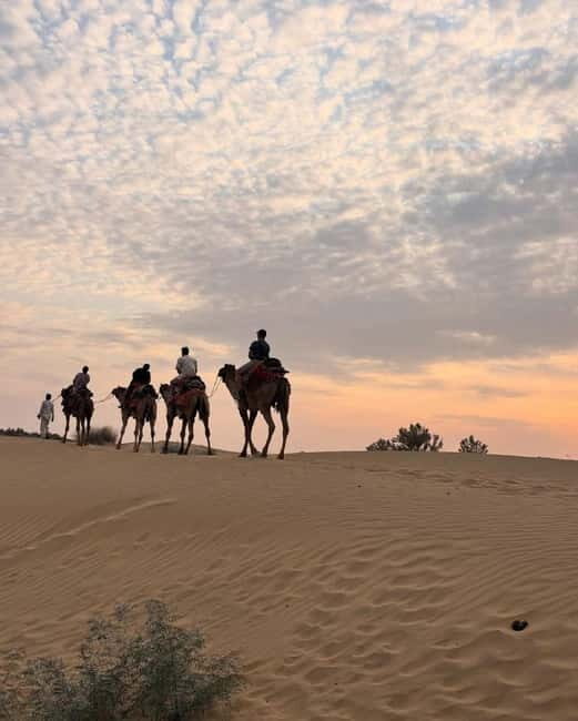 Desert Rose Jaisalmer: Overnight Stay Middle of Thar Desert - What Makes This Tour Stand Out