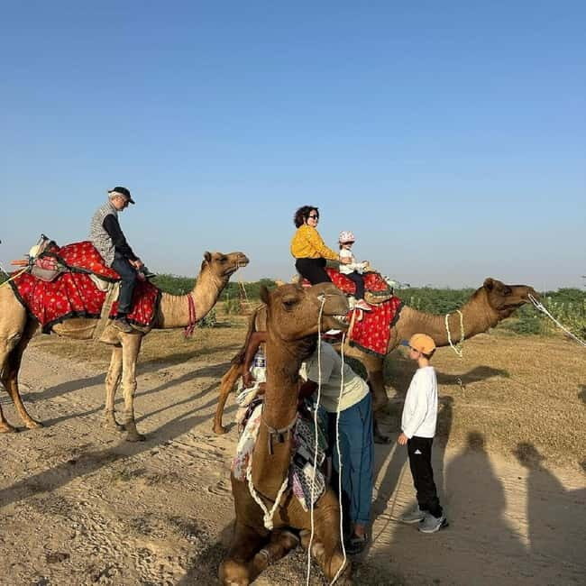 Desert Rose Jaisalmer: Overnight Stay Middle of Thar Desert - The Practical Side: Cost, Comfort, and Considerations