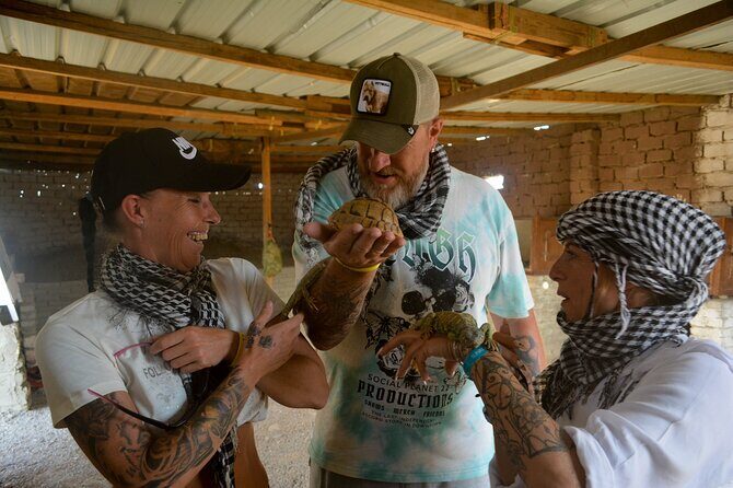 Desert Safari - Who Will Love This Tour?