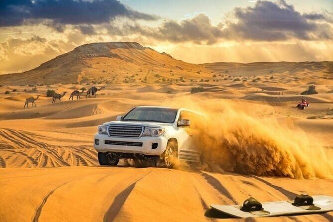 Desert Safari 4x4 Dunes, Camel Riding, BBQ & Live Shows - Key Points