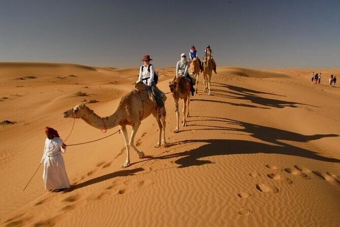 Desert Safari 4x4 Dunes, Camel Riding, BBQ & Live Shows - The Itinerary: What to Expect from Start to Finish