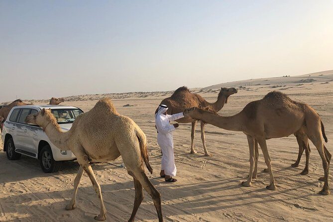 Desert Safari 7 Hours Tour with Dinner and Camp - FAQ