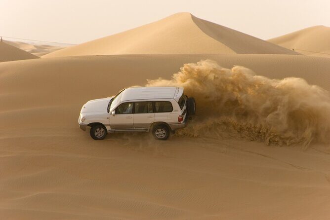 Desert Safari Abu Dhabi w/ Sand Boarding, Camel Ride & BBQ Dinner - An In-Depth Look at the Desert Safari Experience
