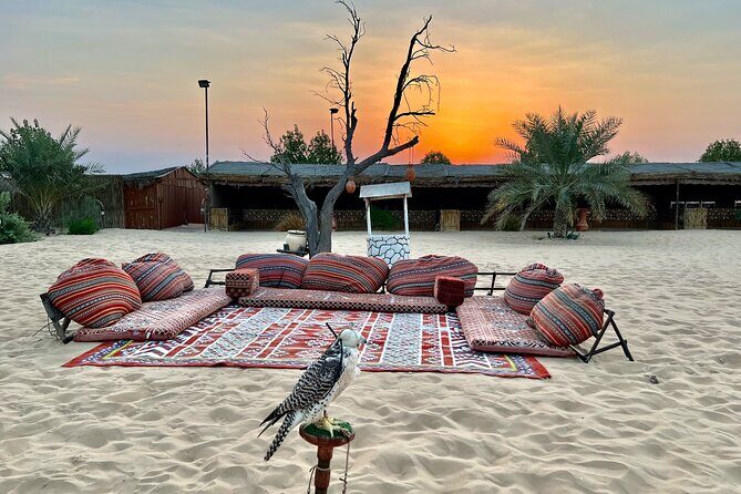 Desert Safari Abu Dhabi w/ Sand Boarding, Camel Ride & BBQ Dinner - Final Thoughts