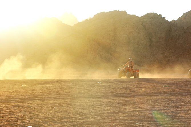 Desert Safari adrenaline tour in Sharm-Elsheikh on Quad ATVs bike - Value and Pricing Insight