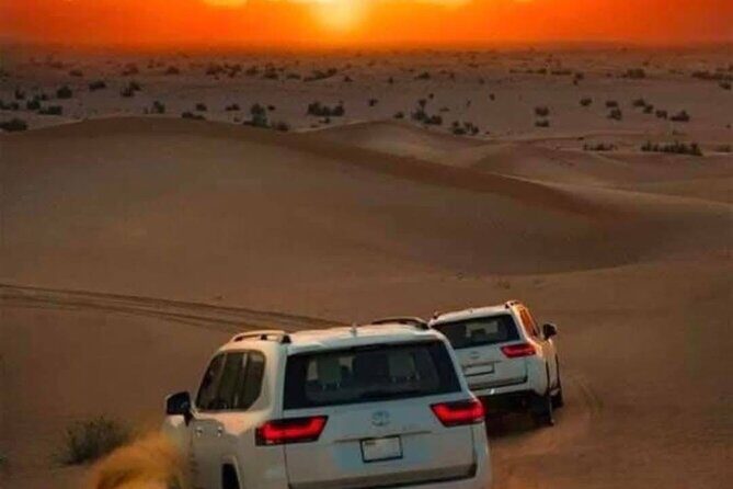 Desert Safari Adventure Dubai - Who Should Consider This Tour?