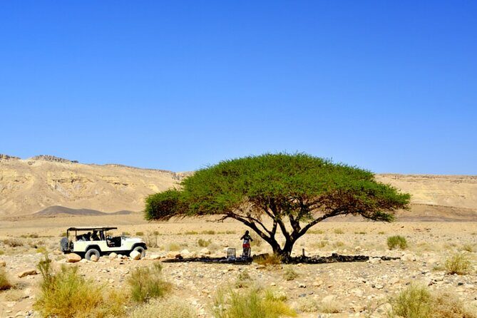 Desert Safari and Dead Sea Day Trip from Tel Aviv - Authentic Experiences and Practical Details