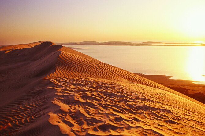 Desert Safari and Inland Sea(Private Tour) - Introduction: Why Consider This Tour?