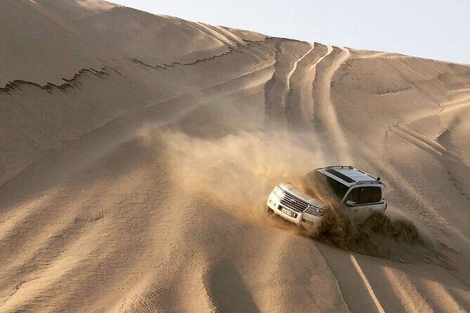 Desert Safari and Inland Sea(Private Tour) - The Guide: The Heart of the Tour