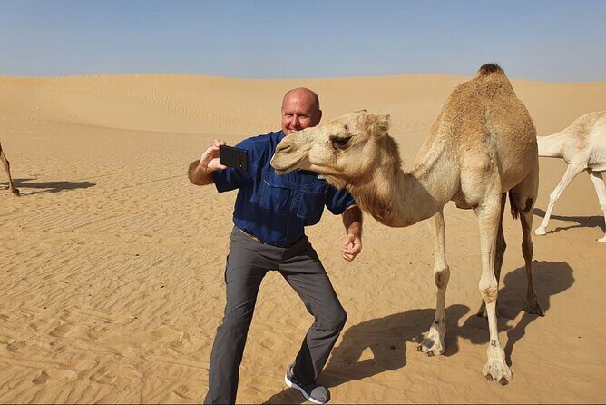 Desert Safari BBQ dinner, Camel ride & sandboarding from Dubai - The Sum Up