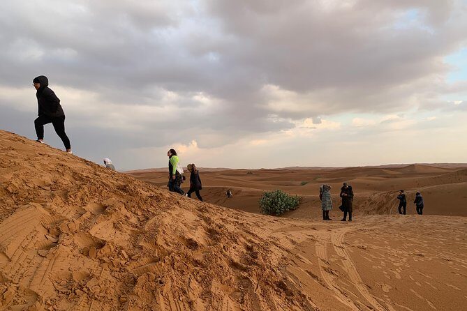DESERT SAFARI Drive | QUAD BIKE Ride - A Closer Look at the Tour Experience