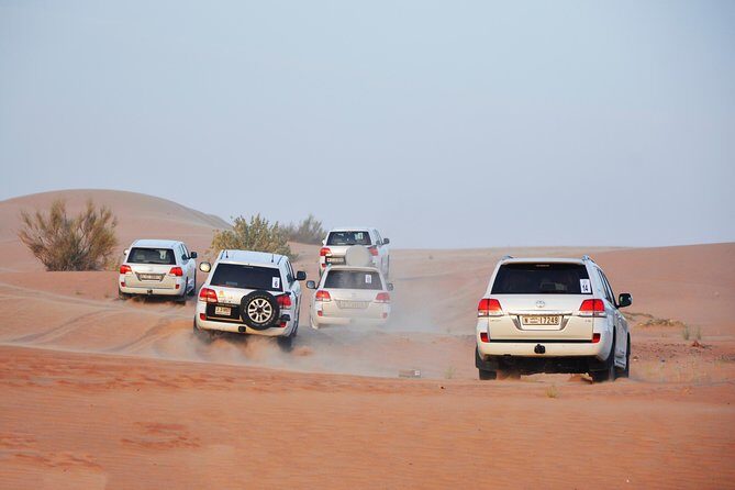 Desert Safari Drive with BBQ Dinner - Food and Drink: A Satisfying BBQ Dinner