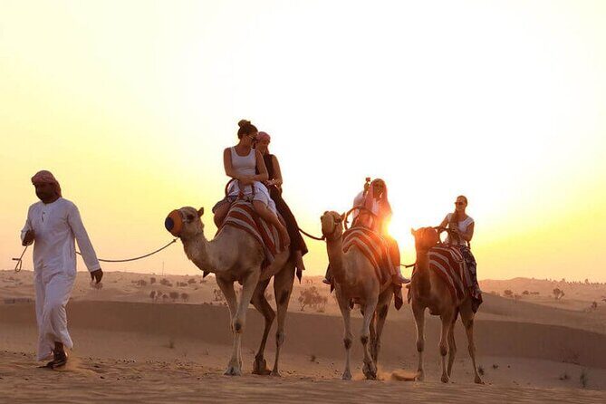 Desert Safari Dubai - What We Love About This Tour