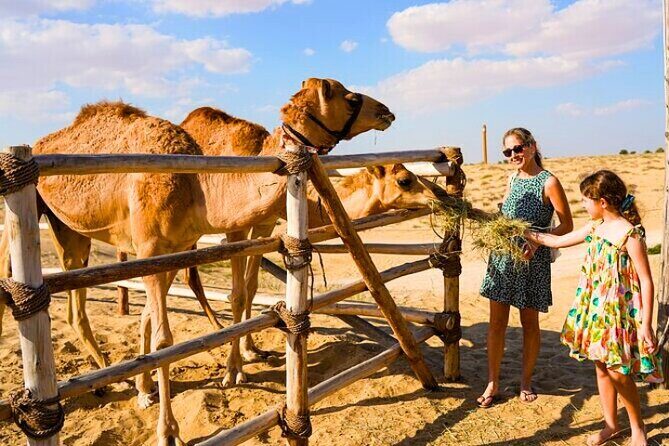 Desert Safari Dubai 30 Mins Quad Bike, Sand Board, Camel Ride BBQ - Final Thoughts: Is This the Right Desert Safari for You?