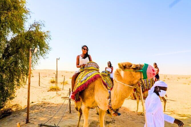 Desert Safari Dubai 30 Mins Quad Bike, Sand Board, Camel Ride BBQ - Final Remarks