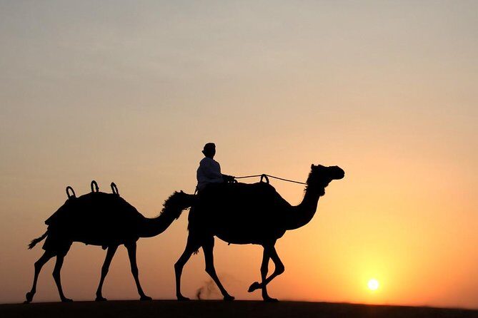 Desert Safari Dubai - A Complete Look at the Desert Safari Dubai Experience