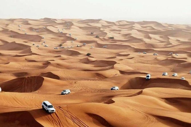 Desert Safari Dubai - Authentic Experience with High-Quality Guides