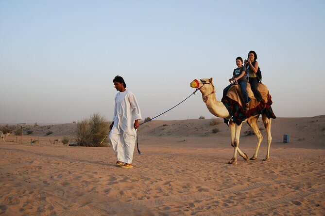 Desert Safari Dubai in 4x4 Vehicle with Dinner - The Sum Up