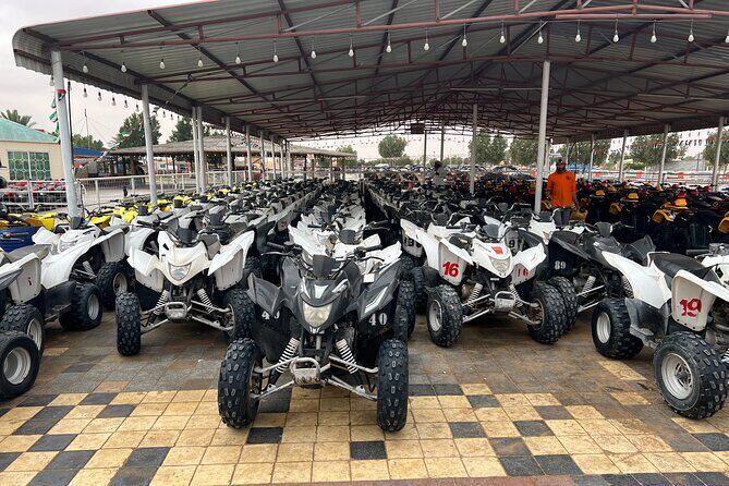 Desert Safari Dubai Live Shows Camel Ride Dinner with Quad Bikes - The Bottom Line