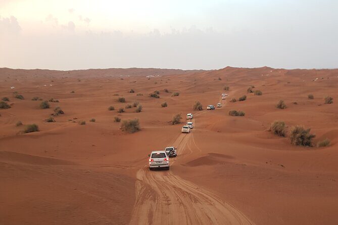 Desert Safari Dubai & Quad Bike with Dinner - Introduction: A Fun Day in Dubai’s Desert