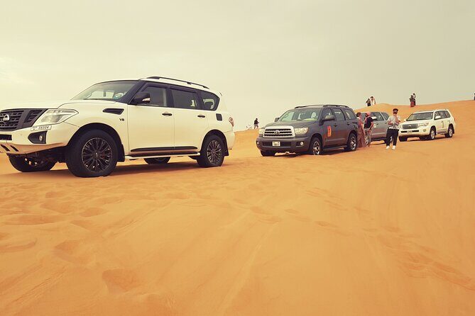 Desert Safari Dubai & Quad Bike with Dinner - Who Will Love This Tour?