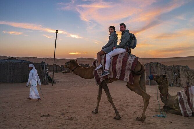 Desert Safari Dubai with BBQ Dinner Buggy Ride and Dune Bashing - Who Is This Tour Best For?