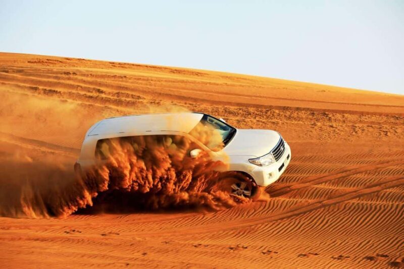 Desert Safari Dubai with Camel Ride, Sandboarding & Dinner - Diving into the Experience: What to Expect on the Dubai Desert Safari