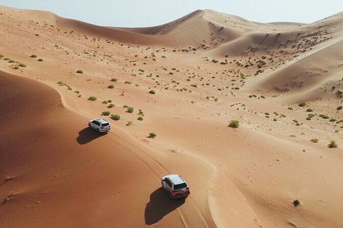 Desert Safari Dubai with Dune Bashing, Activities and Dinner - Key Points