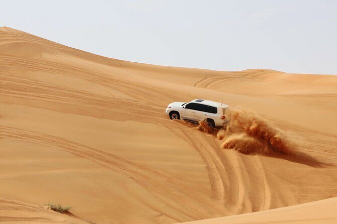 Desert Safari Dubai with Dune Bashing, Activities and Dinner - A Closer Look at the Desert Safari Experience