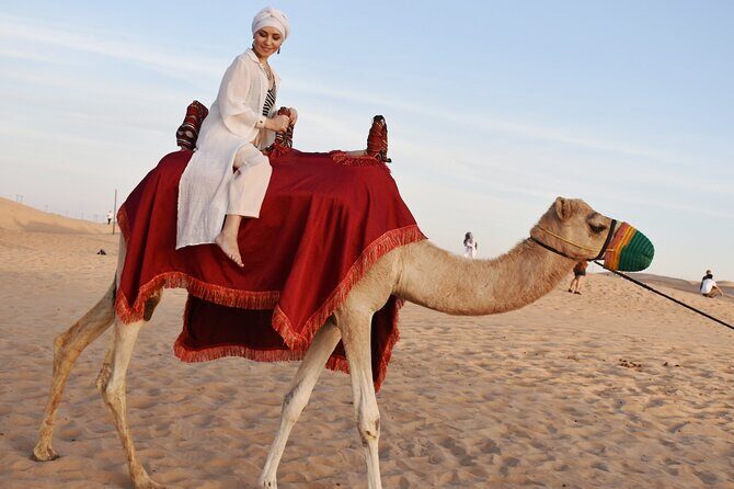 Desert Safari Dubai with Dune Bashing, Activities and Dinner - Practical Details and Considerations