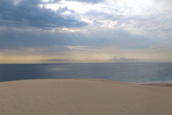 Desert safari, Dune bashing, sandboarding, camel, ATV Option - The Itinerary Breakdown: What’s in Store