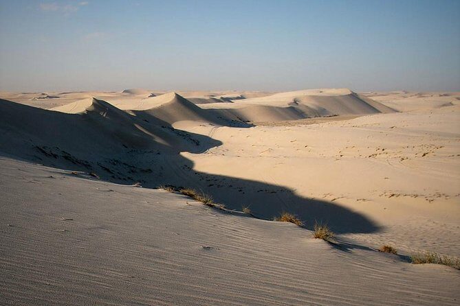 Desert safari, Dune bashing, sandboarding, camel, ATV Option - What the Reviews Say